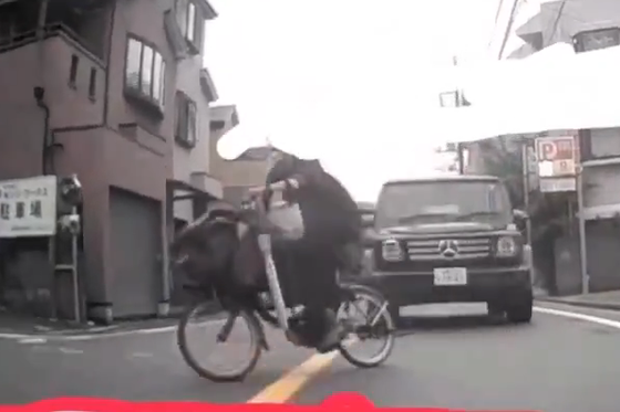 【動画】チャリカスさん、急ハンドルを切った結果ｗｗｗｗ