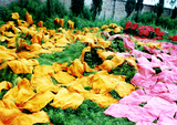 bf96eb79.JPG