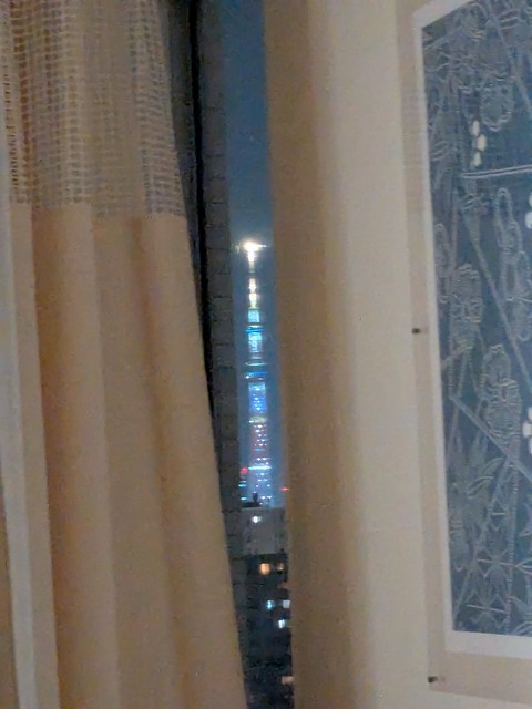 隙間からのスカイツリー（2025年5月3日）