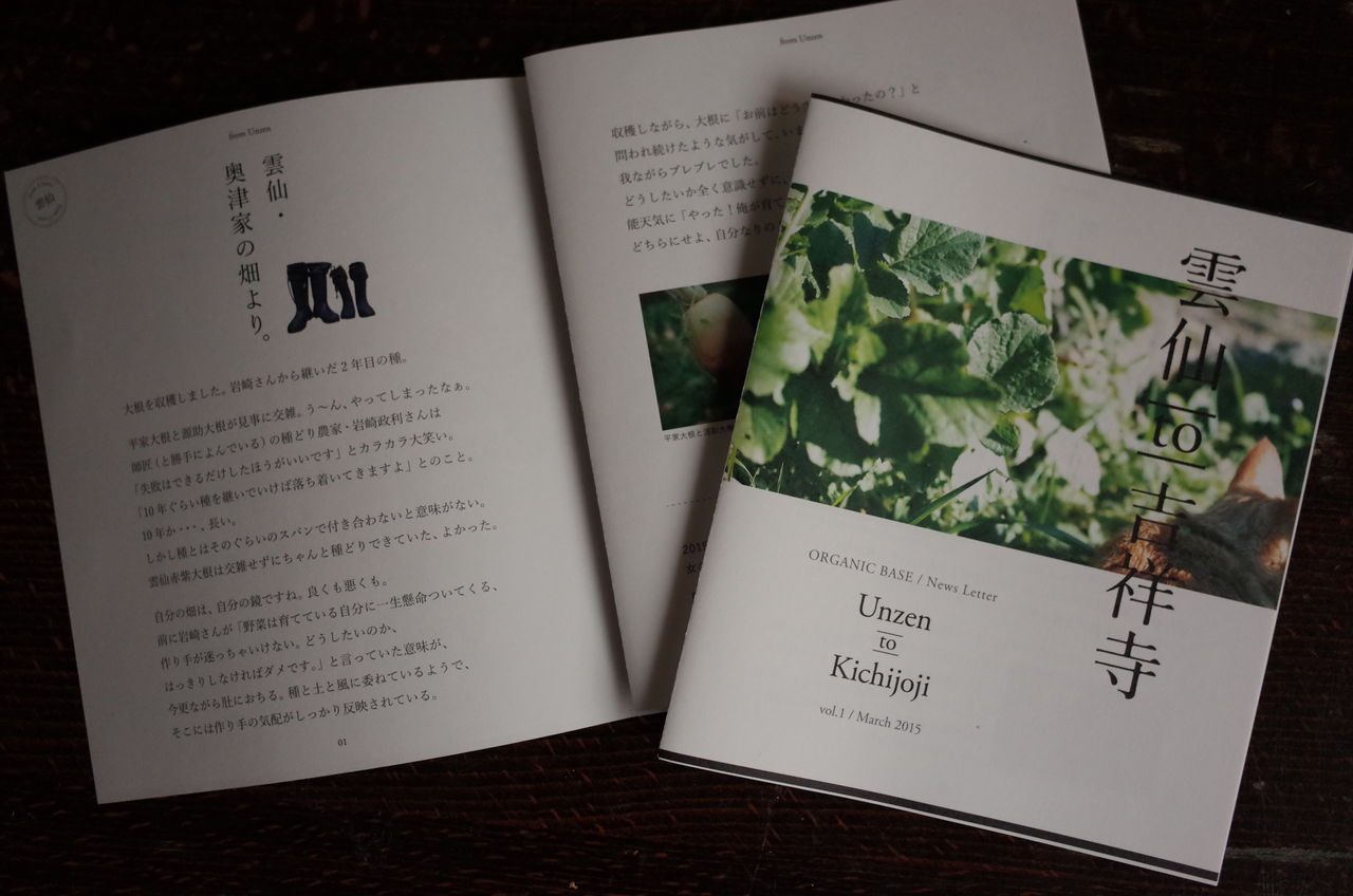 雲仙 市 の 天気