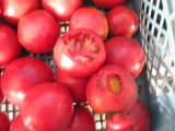DSCN0763
