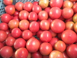 DSCN0759