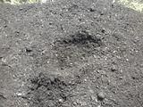 DSCN0734