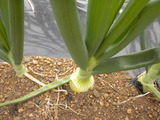 DSCN0569