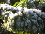 DSCN0893