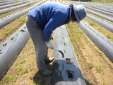 DSCN0598