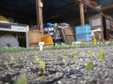 DSCN0768