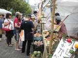 DSCN0753
