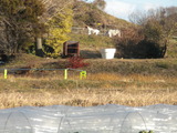DSCN0910