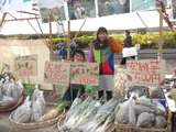DSCN0507