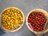 DSCN0701