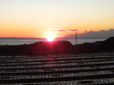 DSCN0909