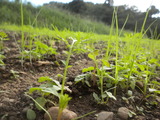 DSCN0781