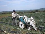 DSCN0662