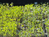 DSCN0819