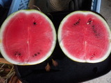 DSCN0741