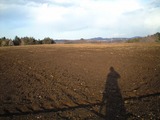 CA390623