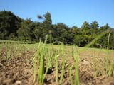 DSCN0842