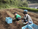 DSCN0884