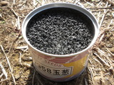 DSCN0799