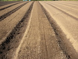 DSCN0391