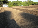 DSCN0385