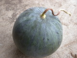 DSCN0743
