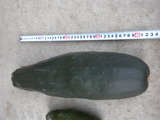 DSCN0699