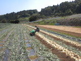 DSCN0665
