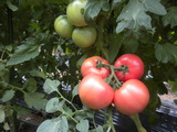 DSCN0690