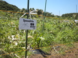 DSCN0717