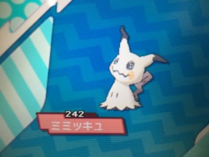 ミミッキュ ポリゴン説 ほぼ確定へ ゲームめったくり通信 ミミッキュ ポリゴン説 ほぼ確定へ ゲームめったくり通信