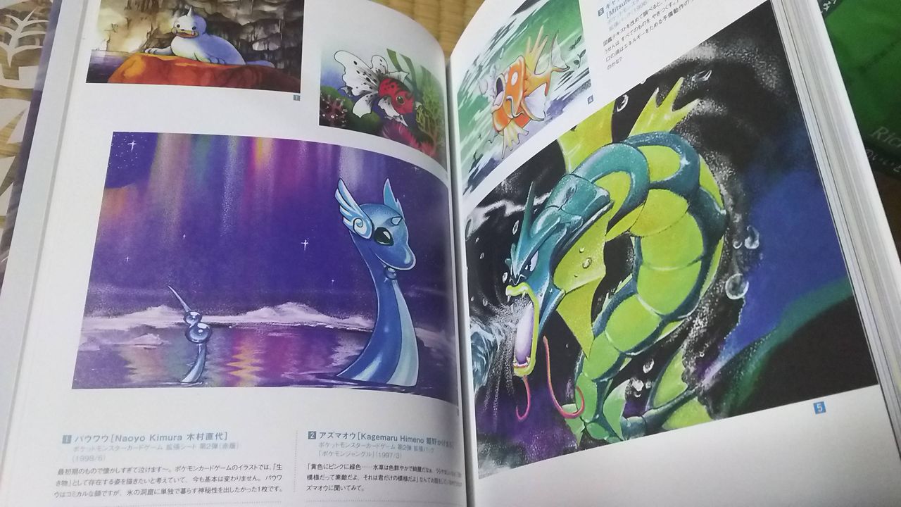 画像 ポケモンカードのイラスト集買ってきたったｗｗｗｗｗｗ ゲームめったくり通信