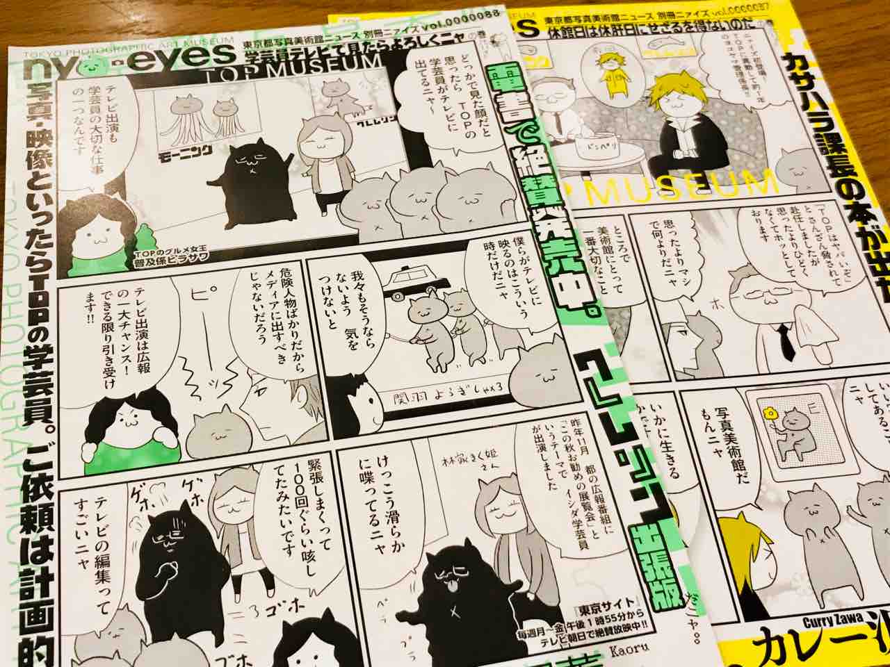 東京都写真美術館とカレー沢薫のタッグ最強説 アートの定理