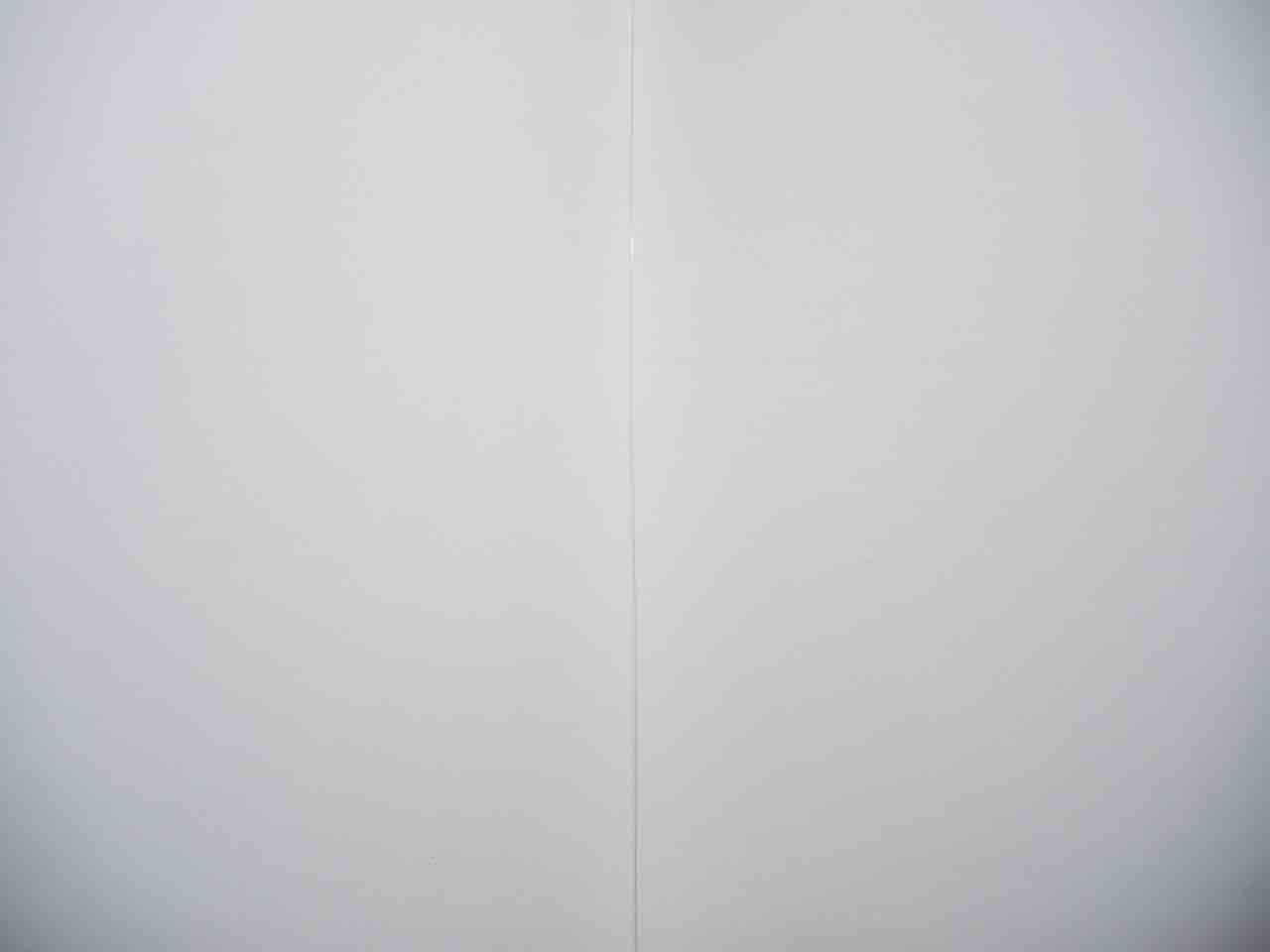 風船の彫刻がすごい 注目の彫刻家 早川祐太の作品が水戸に アートの定理 風船の彫刻がすごい 注目の彫刻家 早川祐太の作品が水戸に アートの定理