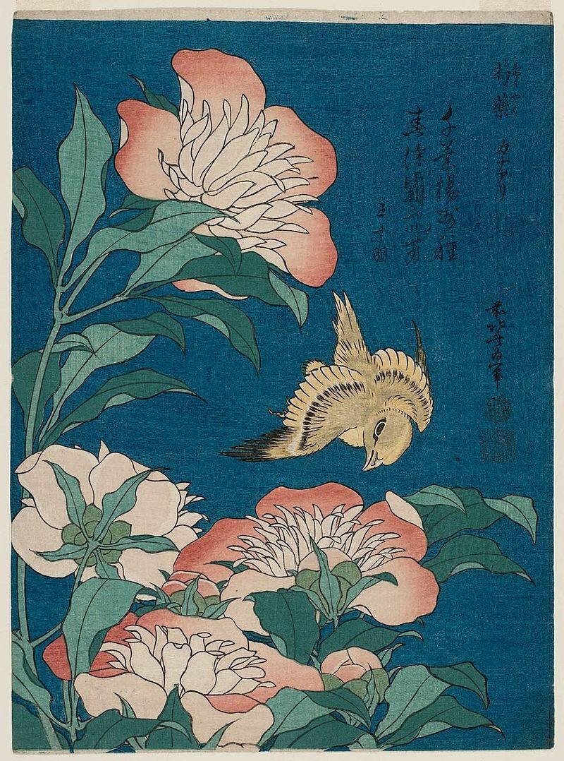 大英博物館 北斎展 の感想と楽しみ方 アートの定理 大英博物館 北斎展 の感想と楽しみ方 アートの定理