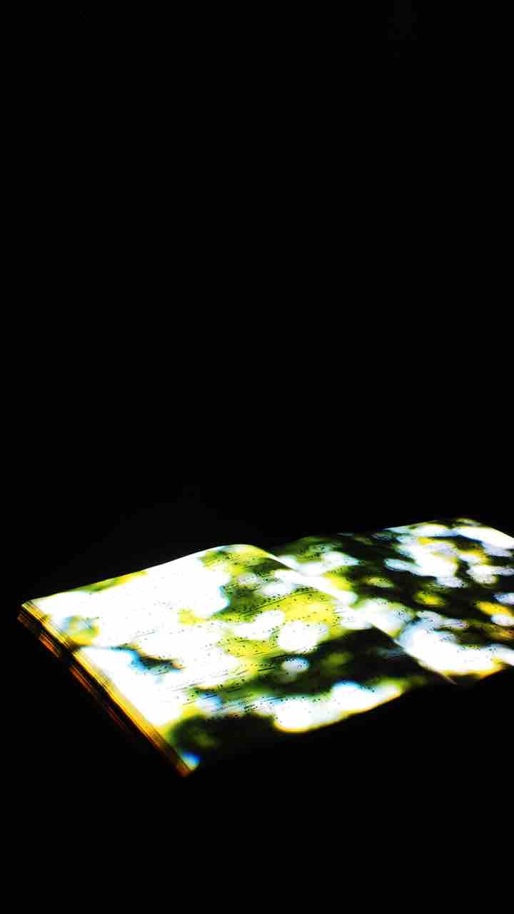 アール デコ 現代アートの挑戦 生命の庭ー8人の現代作家が見つけた小宇宙 アートの定理