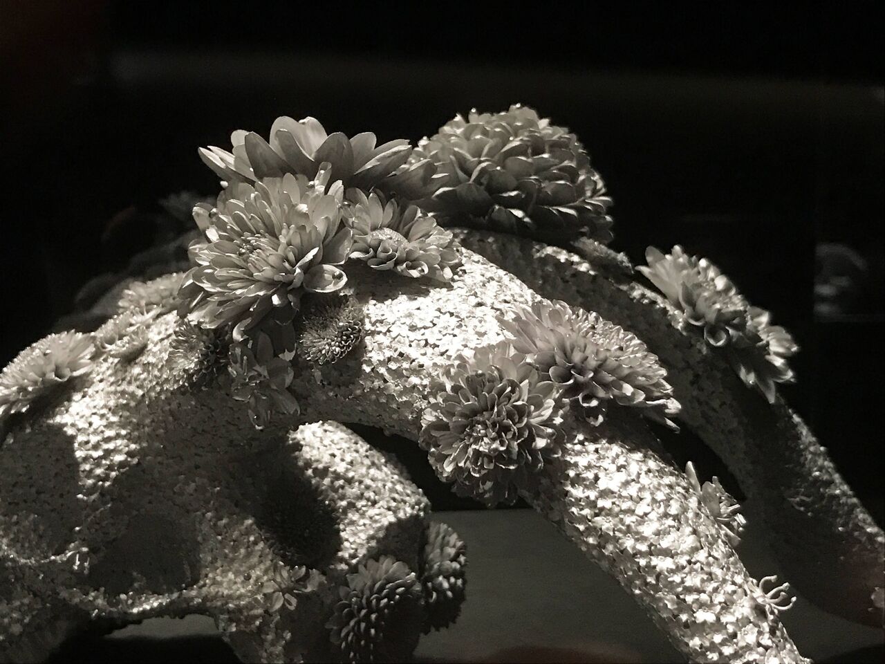 超・超絶技巧】わずか薄さ0.1ミリ！髙橋賢悟さんが創る「生と死」の