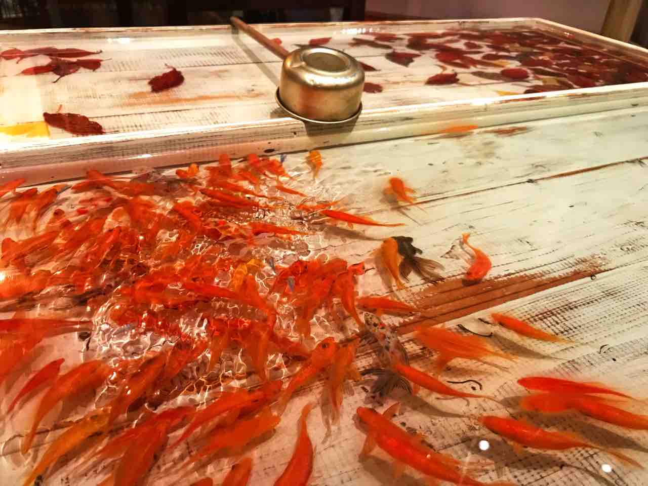 深堀隆介 平成しんちう屋 金魚サディズムの感想 アートの定理 深堀隆介 平成しんちう屋 金魚サディズムの感想 アートの定理