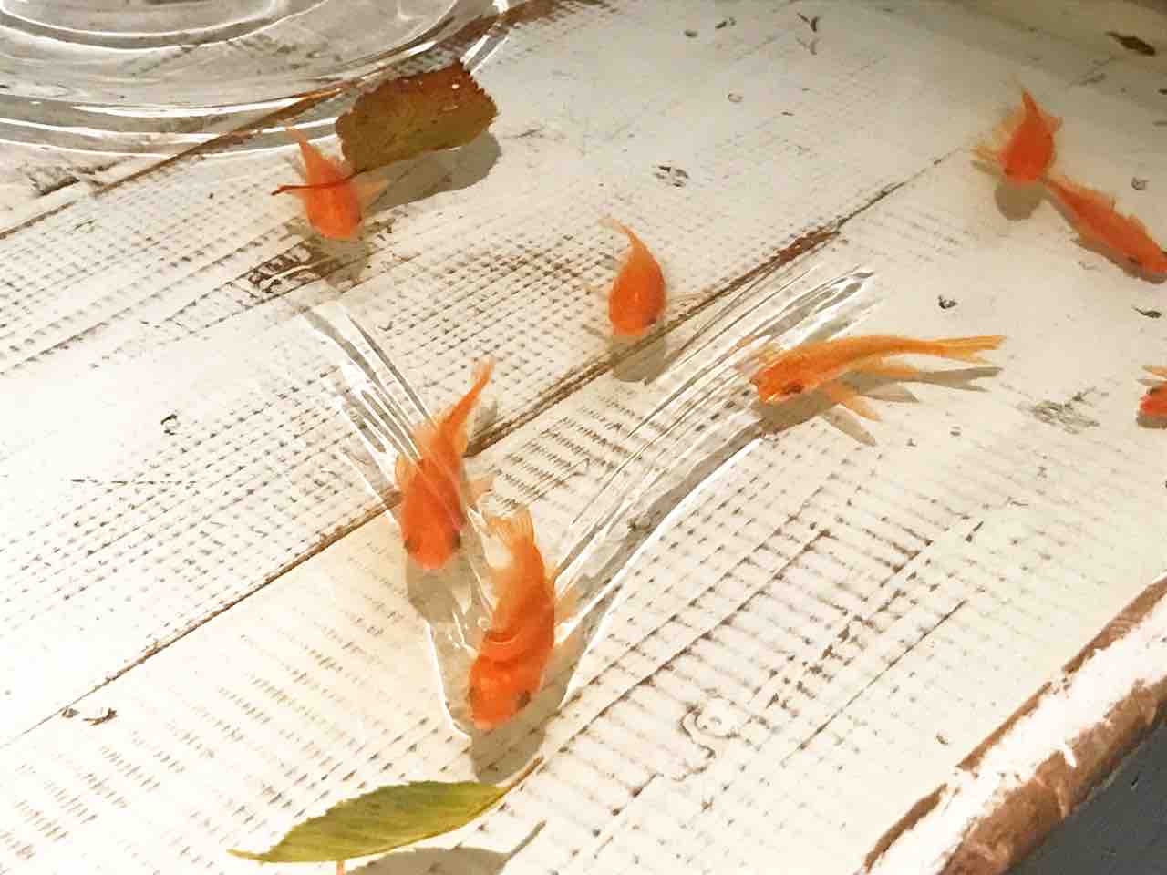 伝統と革新の超絶技巧 和巧絶佳展 令和時代の超工芸 と生と死 アートの定理 伝統と革新の超絶技巧 和巧絶佳展 令和時代の超工芸 と生と死 アートの定理