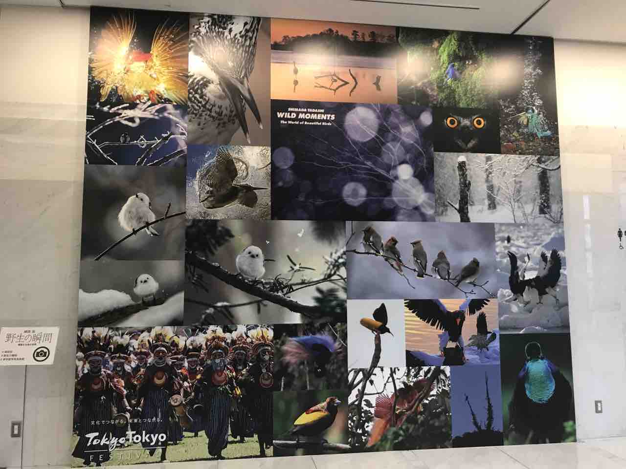 完全攻略 ミステリーラリー19 をお得に楽しむ 難問のヒントも アートの定理