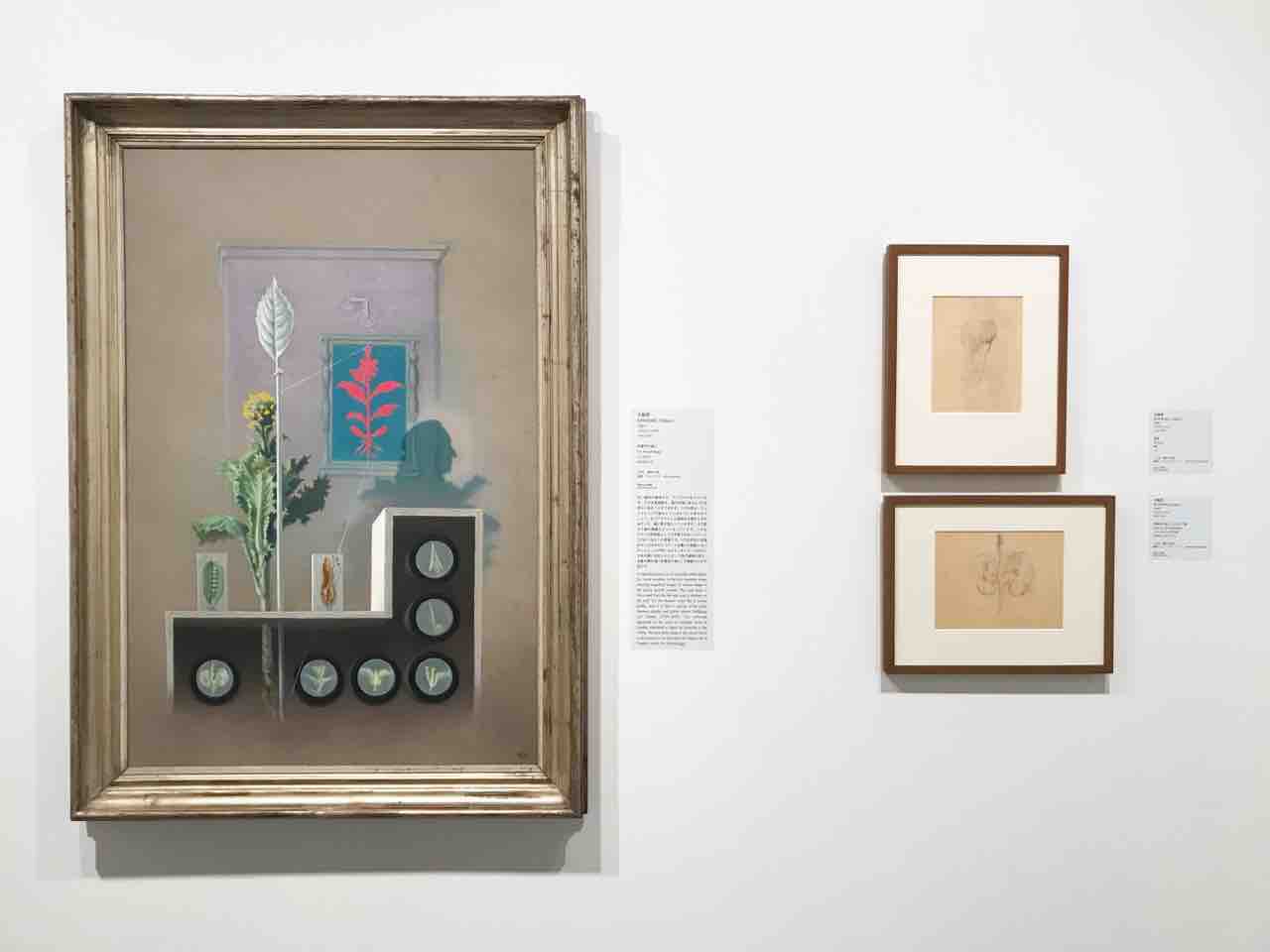 北脇昇 一粒の種に宇宙を視る』後編 私はどこへ行くのか？ : アートの定理