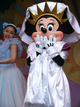 ���˴����