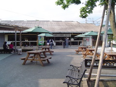 DSC09073