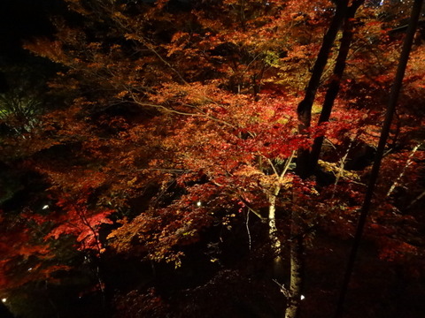DSC01106