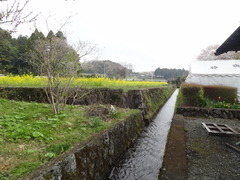 DSC03620