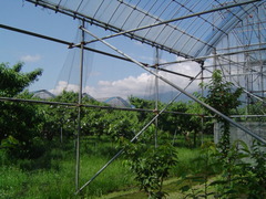 DSC05130