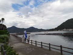 DSC05203