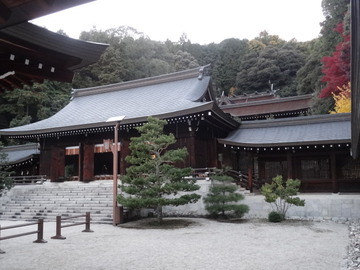 DSC00914