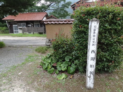 DSC03337